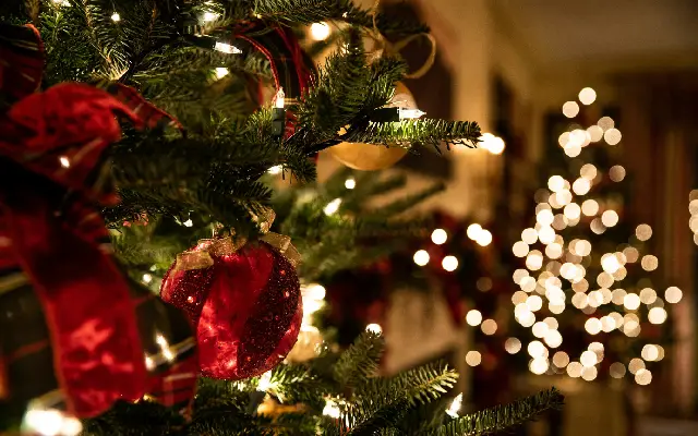 Christmas Party Photo Album